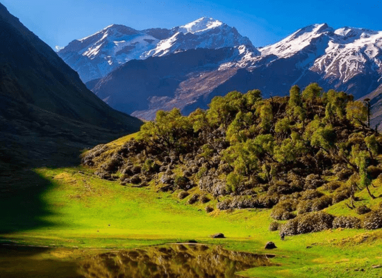 Bali Pass Trek