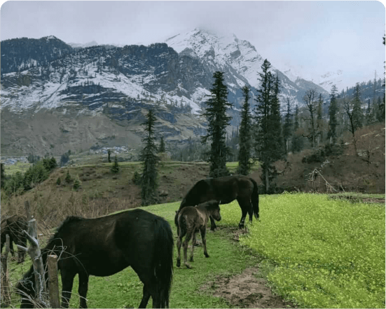 Bhrigu Lake Trek