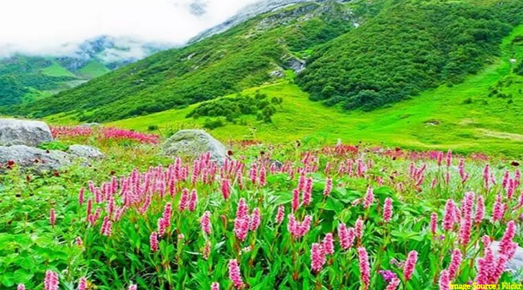 Valley of Flowers Trek