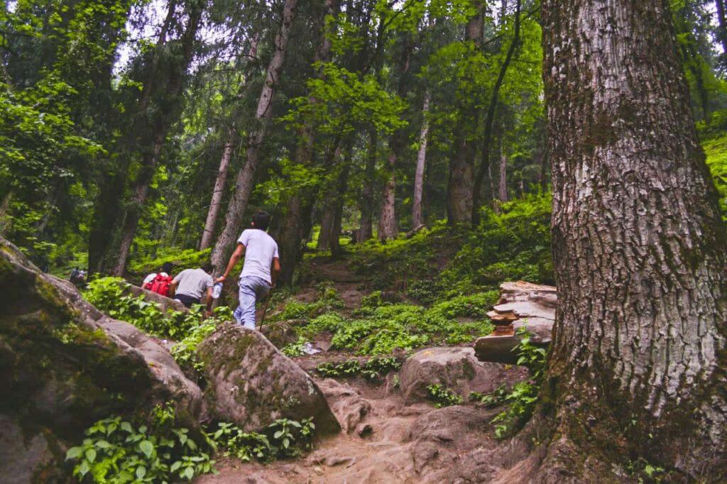 Kasol with Kheerganga trek