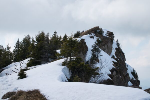 Kheerganga lodging