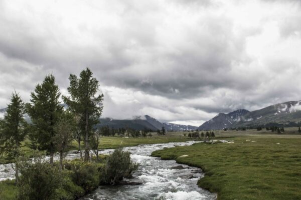 kasol kheerganga trek packages